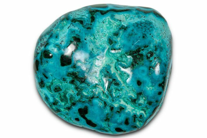 Vibrant Polished Malachite with Chrysocolla - DR Congo #336807